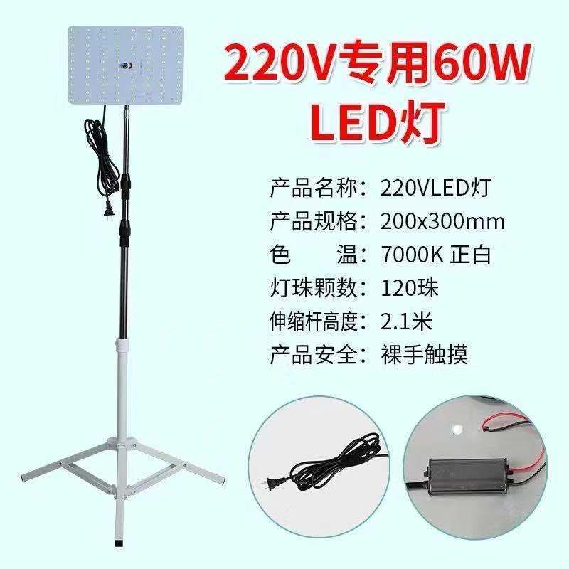 12v luz del mercado nocturno 48 v220 voltios batería carga led puesto luz súper brillante de baja tensión CC luz de emergencia exterior fábrica
