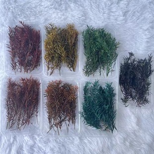 ��Ϲ��S���l����ǧ�ӽ� �ֹ�DIY���İ��������rǧ�ӽ�Ҿӻ�ˇ