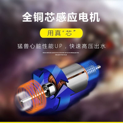 Xǐchējī – Portable car washer 12V Dual Pump