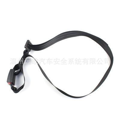 Wenzhou FAR EUROPEan FAR Car seat belt