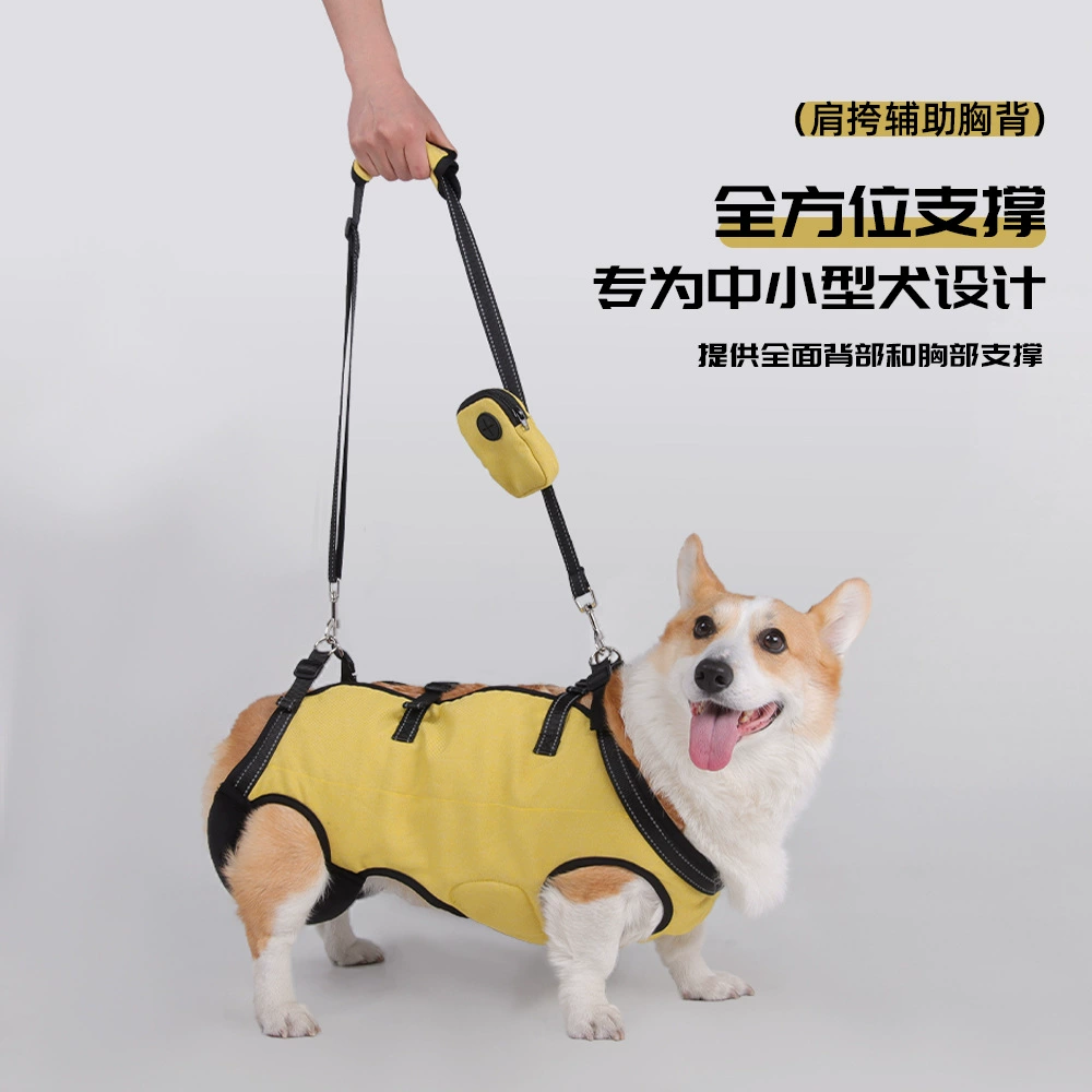 Трансграничные специальные упражнения для домашних животных с собаками-инвалидами