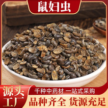 �S����D�x ��ș�����l��ʭ �����x ���x