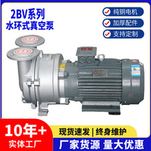 2BV 水环式真空泵 高品质国标电机 铜芯2BV不锈钢真空泵 真空机组