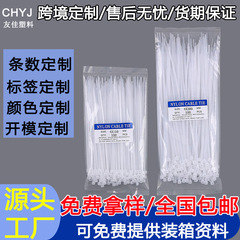 ナイロンケーブルタイ、プラスチックケーブルタイの大量卸売、100本入り、国家標準ナイロンケーブルタイ