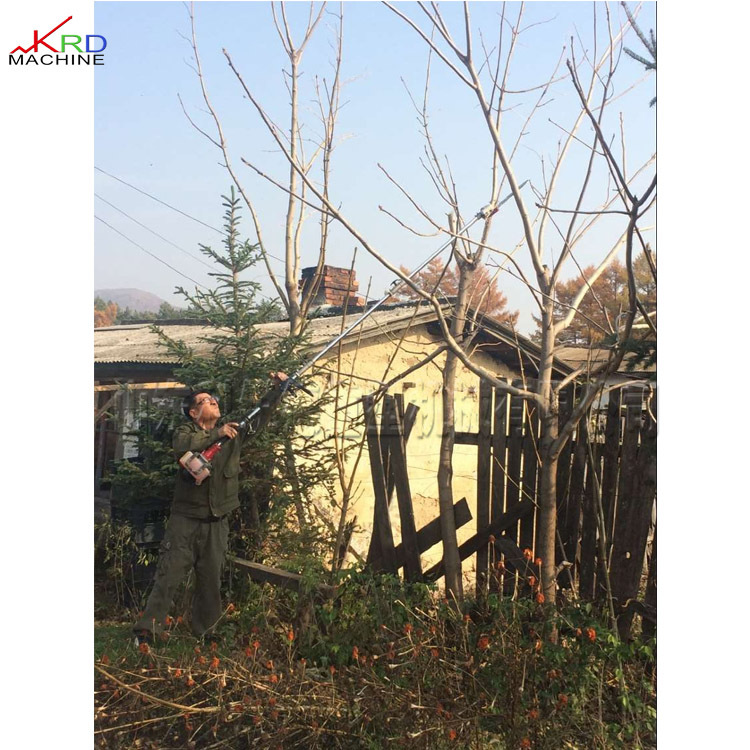 小型汽油背负高枝锯 手拉反冲式高空修枝剪 园林果树林木剪枝工具