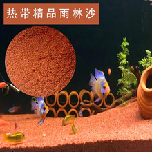 �Ꭷ��Ʒ����ɳ̫����������������ɳ�����߲������쾰ɳ�~�׵�ɳ