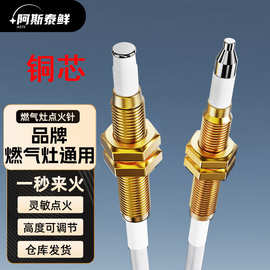 阿斯泰鲜通用带线脉冲点火针燃气灶铜管点火针打火感应针嵌入式燃