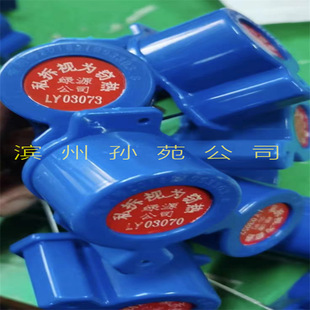 Supply Thermoelectric Heat Supply Thermal Pipe Switch Valve Anti-theft Seal ABS Injection Valve Anti-theft Buckle