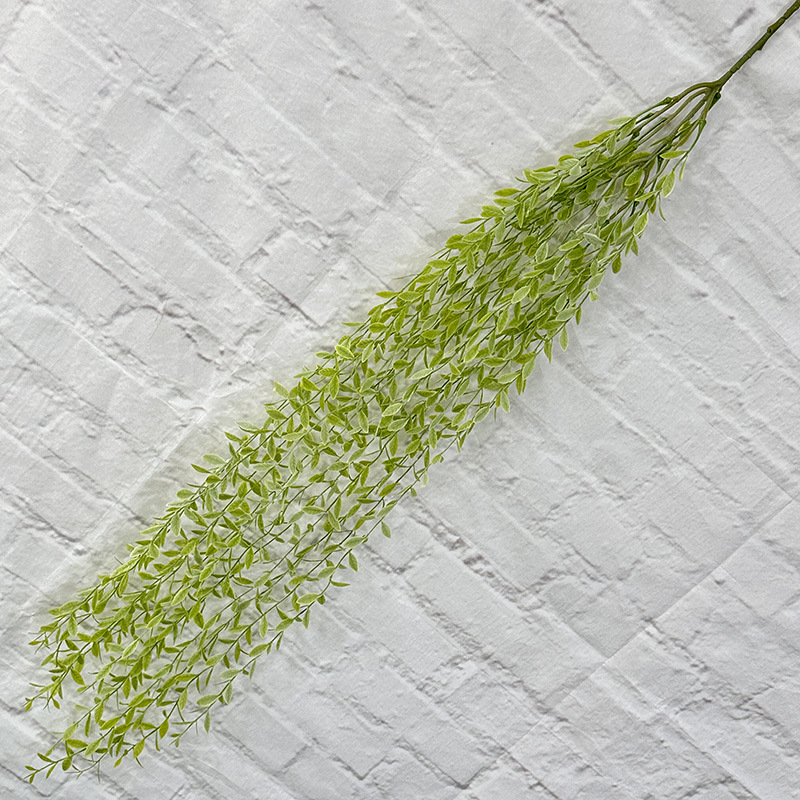 Large willow, white-green.