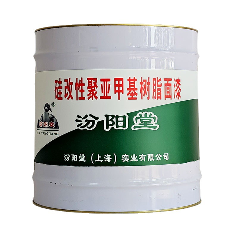 硅改性聚亚甲基树脂面漆，汾阳堂，树脂面漆，耐腐蚀，常温施工！