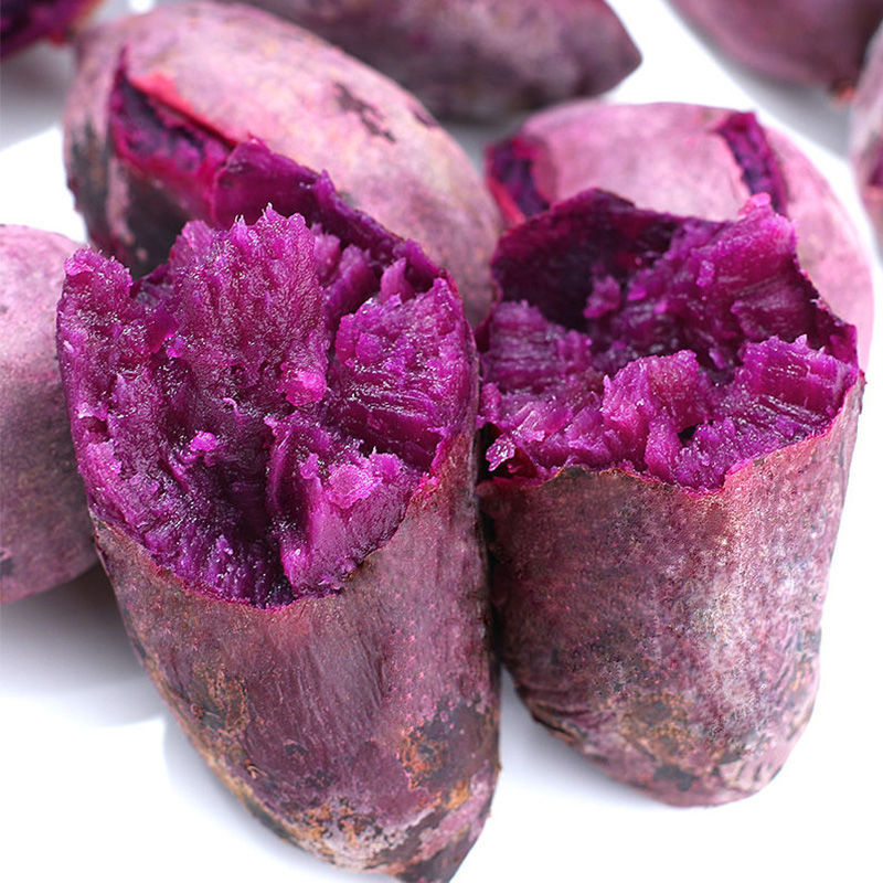 红薯紫薯10斤沙地紫薯新鲜番薯地瓜蜜薯板栗2/5斤批发工厂代发