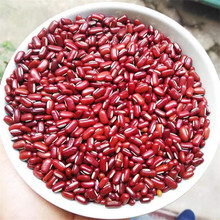 ������؛�|����С���r���Ԯa�t��޲������s�Zԭ�ϬF؛һ�����l