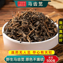 �R�X�{���R�X�{ϴ����ǟo��ș���R�X�{5g��Ұ��5g������ζ���Ї�