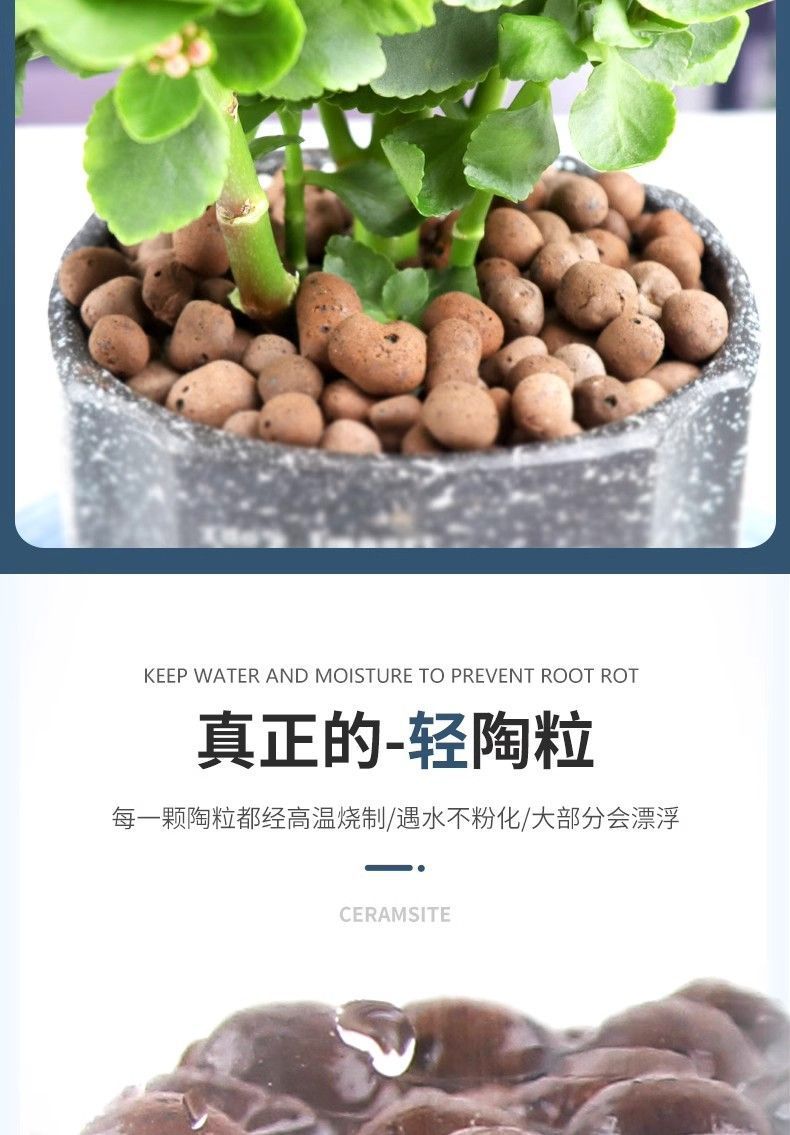 cafc5f76-0f6b-4b4e-8263-a188e2a58d0a.jpe