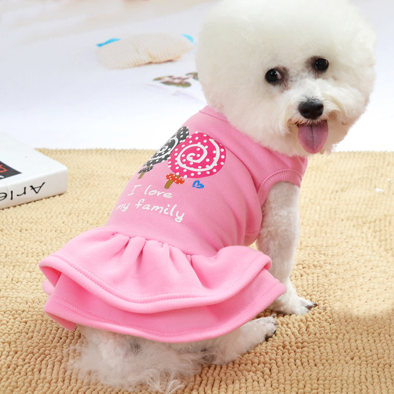 New Puppy Dress Princess Teddy Dress Autumn Winter Outfit Small Puppy Kitten Pet Clothing Boston Wholesale