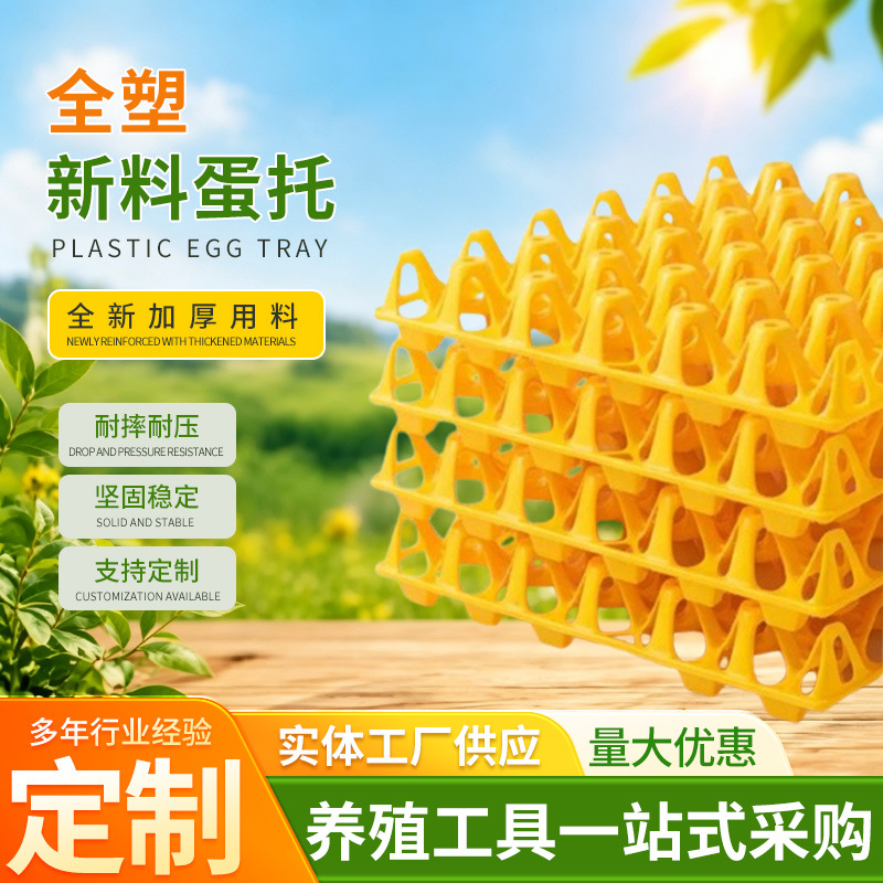 Thickened, drop-resistant plastic egg trays for use in poultry farms, containing 30 eggs, designed for shock absorption and pressure resistance during long-distance transportation
