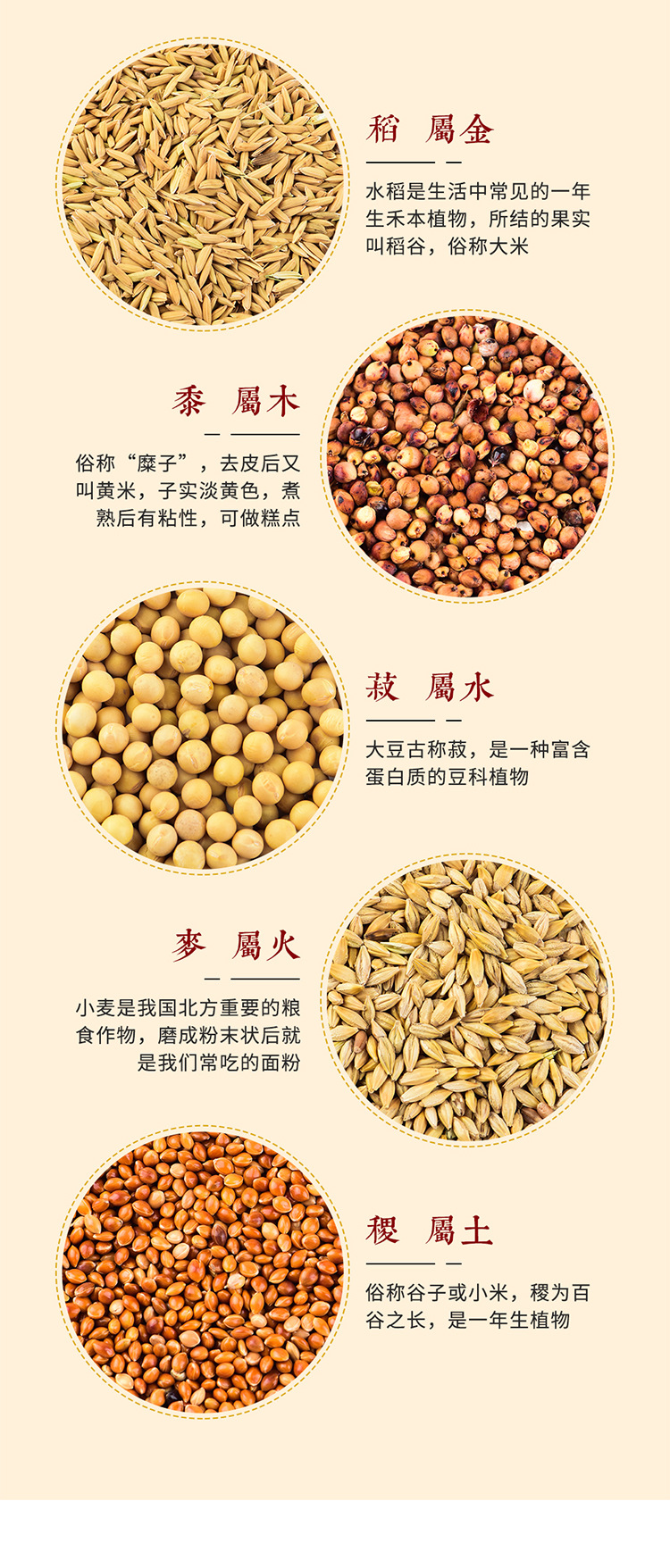 详情图片_07.jpg