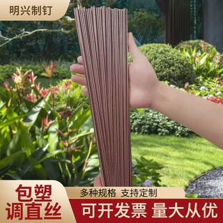 包塑调直丝花艺支架铁艺支撑杆植物花盆兰园艺塑形厂家批发