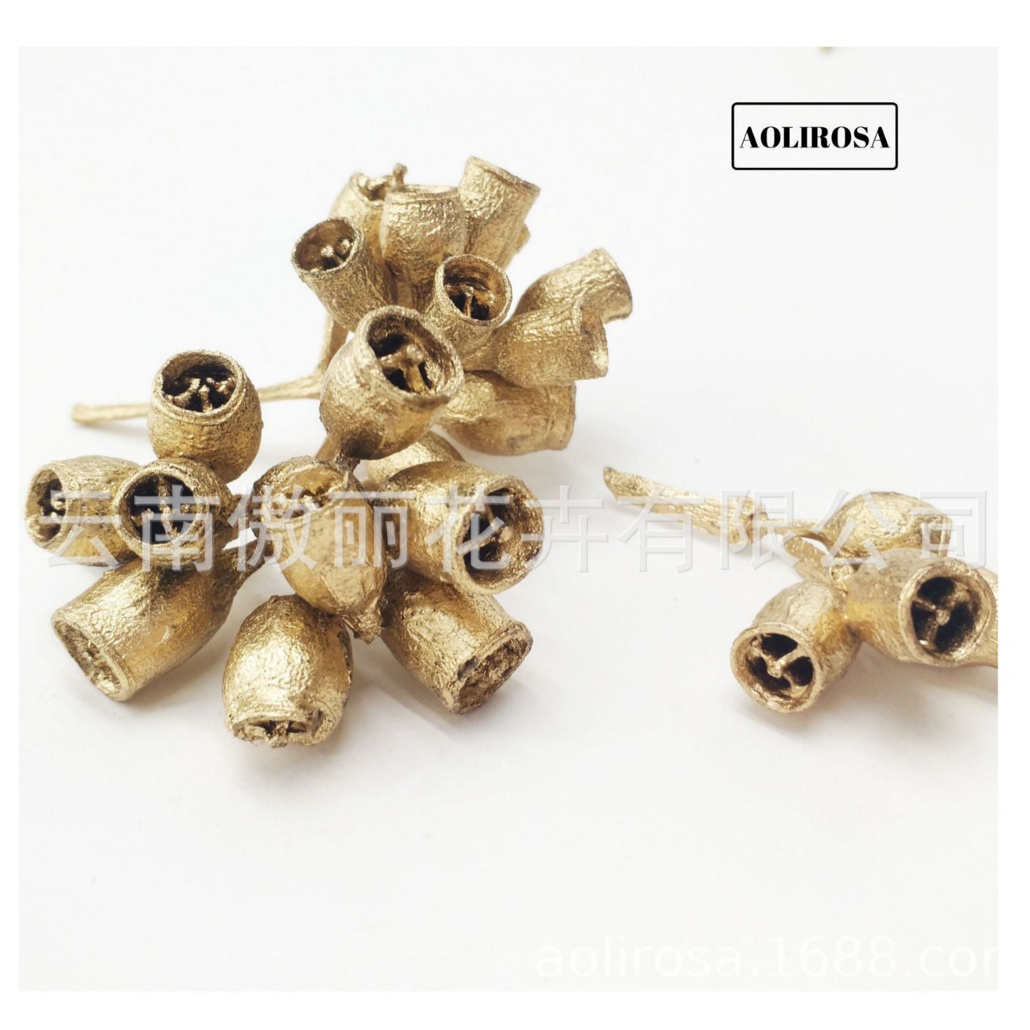 Yongsheng flor/pequeña fruta de eucalipto/Flor seca fresca Oficina decoración del hogar flor exportación calidad fábrica al por mayor