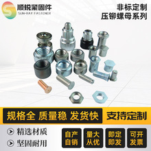 FBDZ ǘ˶  T/Tĸñݼy