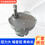 供应JS-50T直流减速电机马达JS-520T迷你洗衣机直流电机直流马达