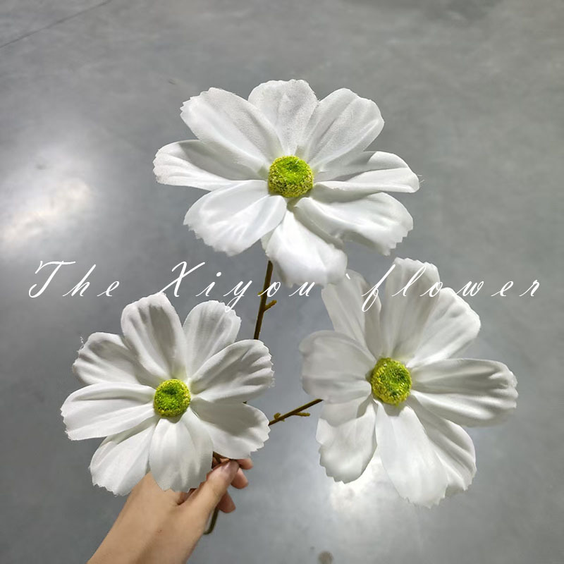큰 게상 3마리