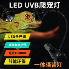 LED爬虫灯爬宠灯晒背灯 UVA+UVB紫外线全光谱一体夹子UVB灯