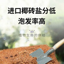 Ҭ�u�I�B���N��ͨ����Ó�}Ҭ����KҮ�u�����������B�������Nֲ��