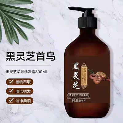 source Manufactor Black Ganoderma Polygonum ginseng shampoo Botany Extraction Essence Hair Herbal Shampoo