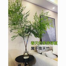 ˮֲ҃r֦ˮBt͏dԻܾGֲƽRľ