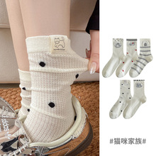 ���ļ��m��Ů��Ͳ�m�n��W�ۿ�ͨ��ɫŮ�m�ɐ�؈�䲨�c͸��Ů�m