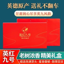 英红九号小泡小包装礼盒装浓香型批发英德红茶春茶英红9号新茶
