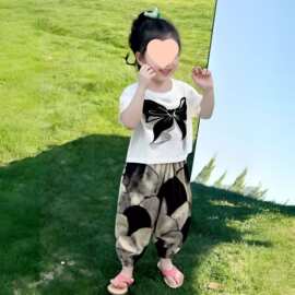 女童夏装新款洋气儿童薄款宽松防蚊裤小女孩宝宝韩版短袖两件套装