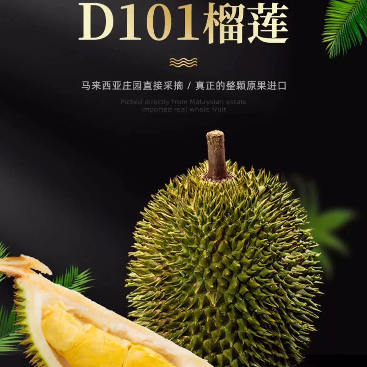 D101红肉榴莲液氮冷冻马来西亚进口带壳水果整果整箱5头批发