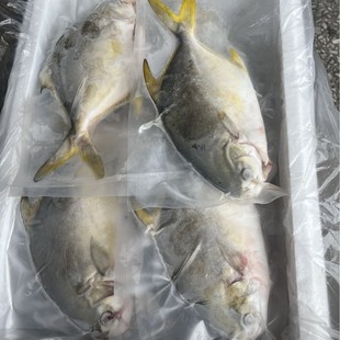 � ���x��� ԭ�l���K�~������i�r) ���r�Ƀ� ��ͥ������x