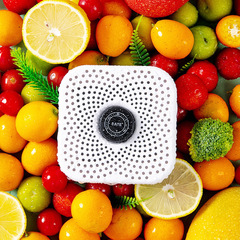 Refrigerator Odor Eliminator, Air Freshener for Deodorizing and Deodorizing, Activated Carbon-Based Deodorizer to Prevent Cross-Flavor Transfer, Fight Mold, and Leave a Fresh Scent