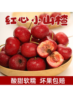 ���ɽ髹����rɽ髹���t��Сɽ�ɽ��t����ɽ髴����ɽ��r��