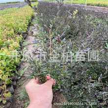 ���~ˮϞ�G�h�� �|�����~ˮϞǤ��С�� ��������ȫ���l؛