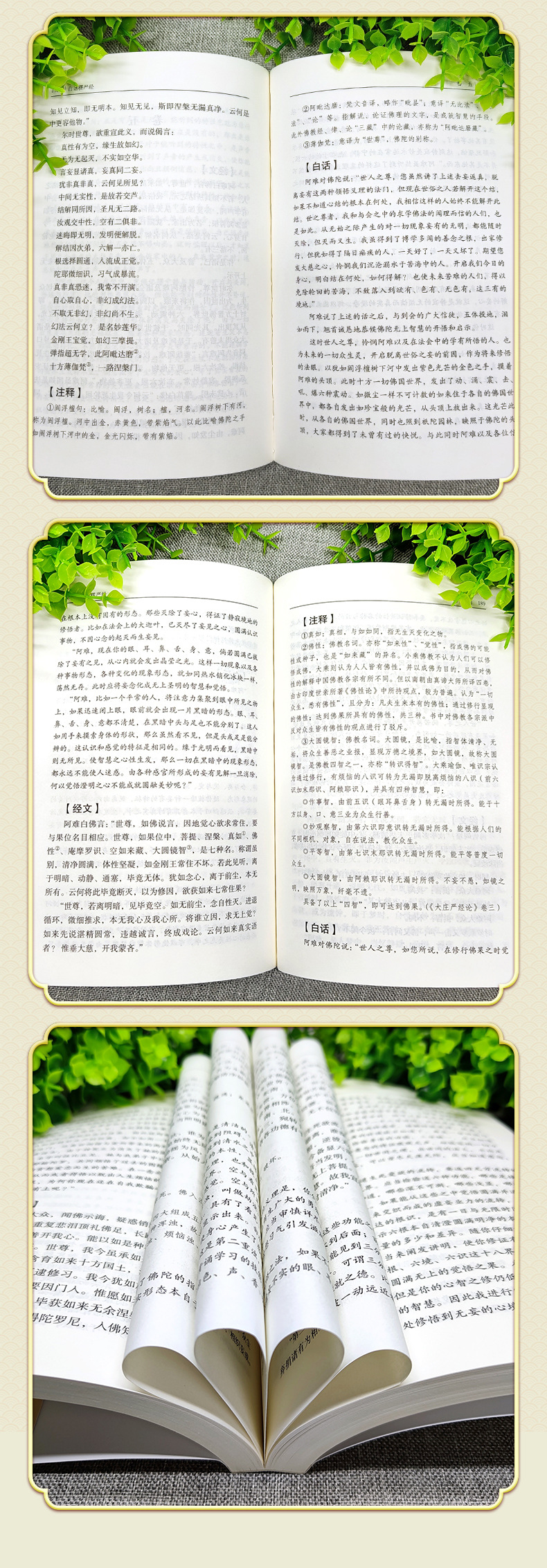 20230609_215146_012.jpg?x-oss-process=image/format,png