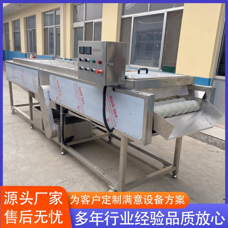 根茎类蔬菜加工去皮清洗流水线 连续式黄姜清洗线 毛辊清洗流水线