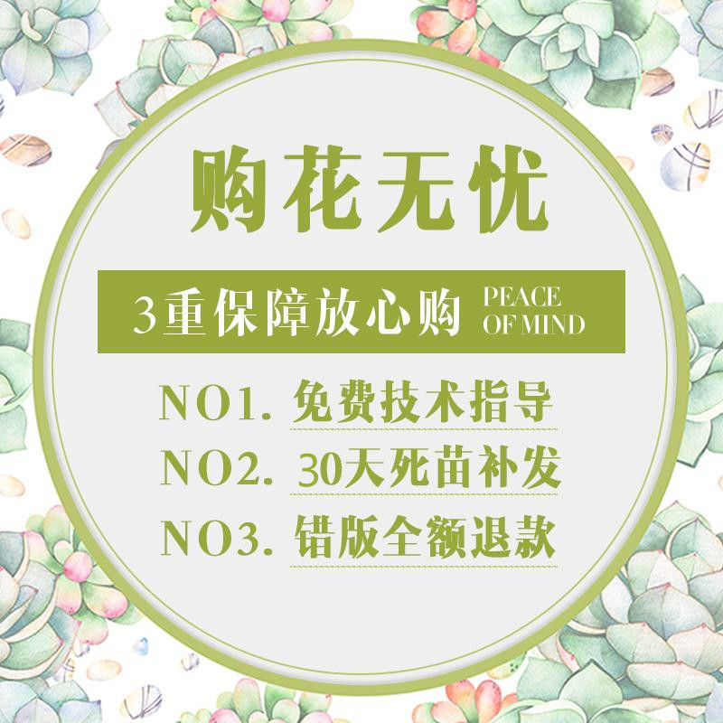 ae551b50-2e5d-4319-a33c-23aefb08d91c.jpe