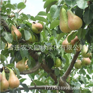 �޽������� �Sˮ����� �Sˮ���Ә��箔��Y���Ϸ������Nֲ������