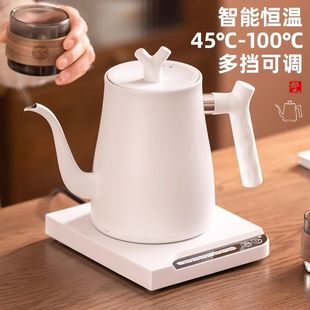Temperature-Controlled Pour-Over Coffee Kettle Set with Fine Spout, Constant Temperature Tea Brewing Kettle, Electric Kettle