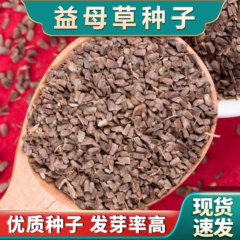 Оптовые семена полыни, свежие семена полыни, лекарственные материалы для посадки в любое время года, а также семена сафлора, шалфея и одуванчика.