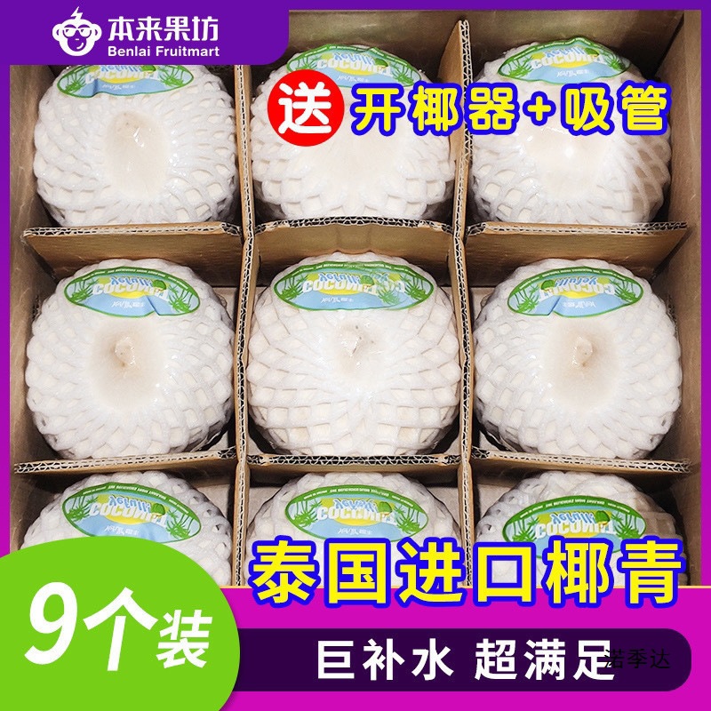 Thai green coconut 9 pieces large fruit fresh coconut wholesale for pregnant women seasonal fruit
