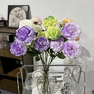 3�^�ʵ�ĵ�� ���滨�u׃ɫܽ��ĵ����c�廨�b��żҾ����Q·��