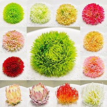 摆盘装饰花草绿色毛球刺身装饰点缀冷盘装饰花酒店盘饰花草