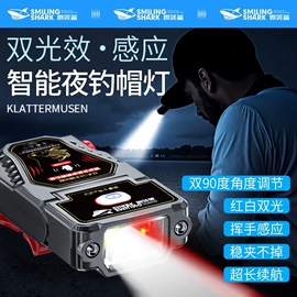 手电筒;头灯头戴电筒;野营/露营灯