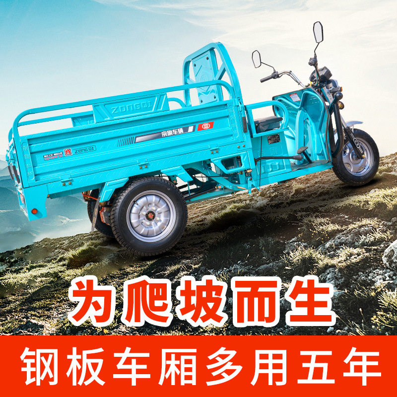 Zongqi triciclo eléctrico agrícola de carga pesada Wang Climbingpo coche de batería doméstico de alta potencia para vender un carro de frutas