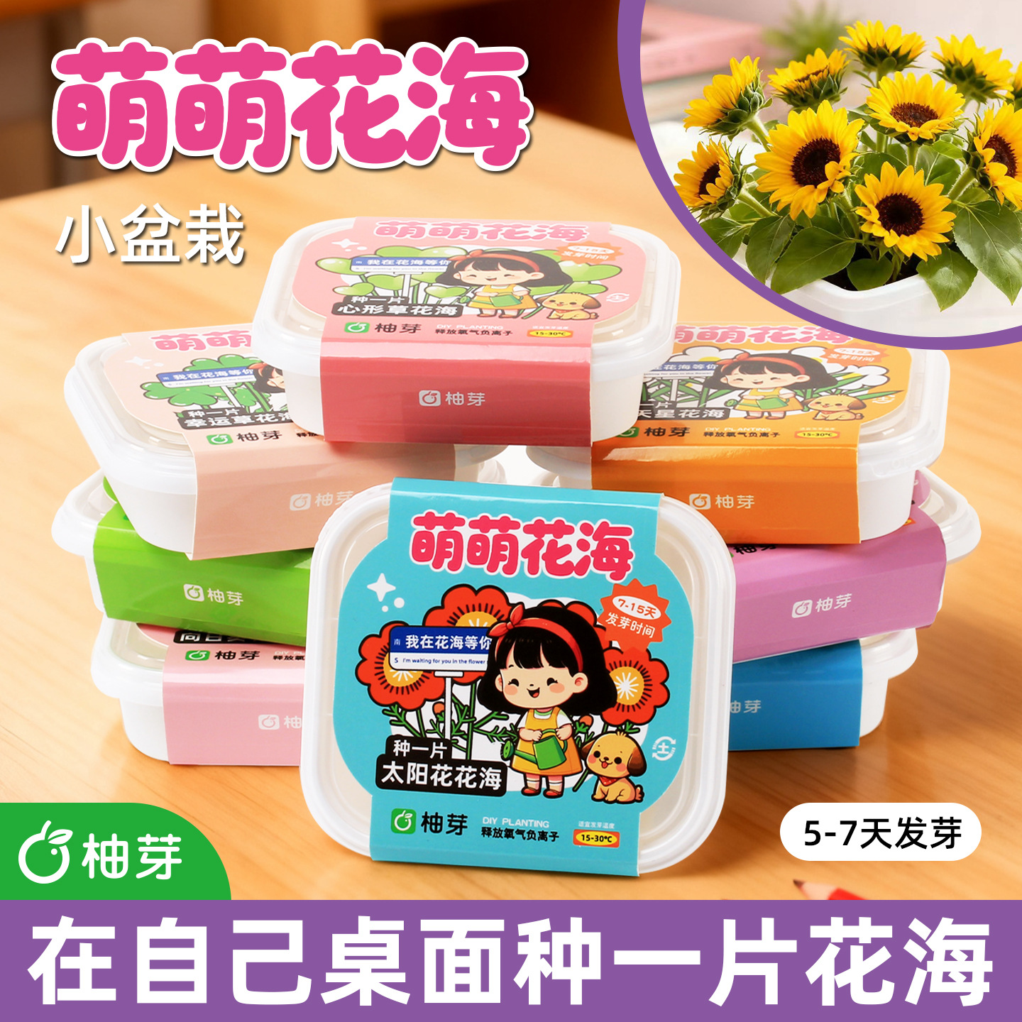 Green Plant Mini Potted Plants Office Magical Plants Mini Desktop Children's Planting Blind Box Student Gifts Children's Day Gift